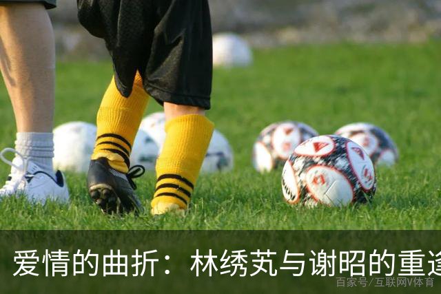 爱情的曲折：林绣芄与谢昭的重逢之旅
